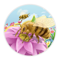 Конкурс по биологии «Пчёлы»